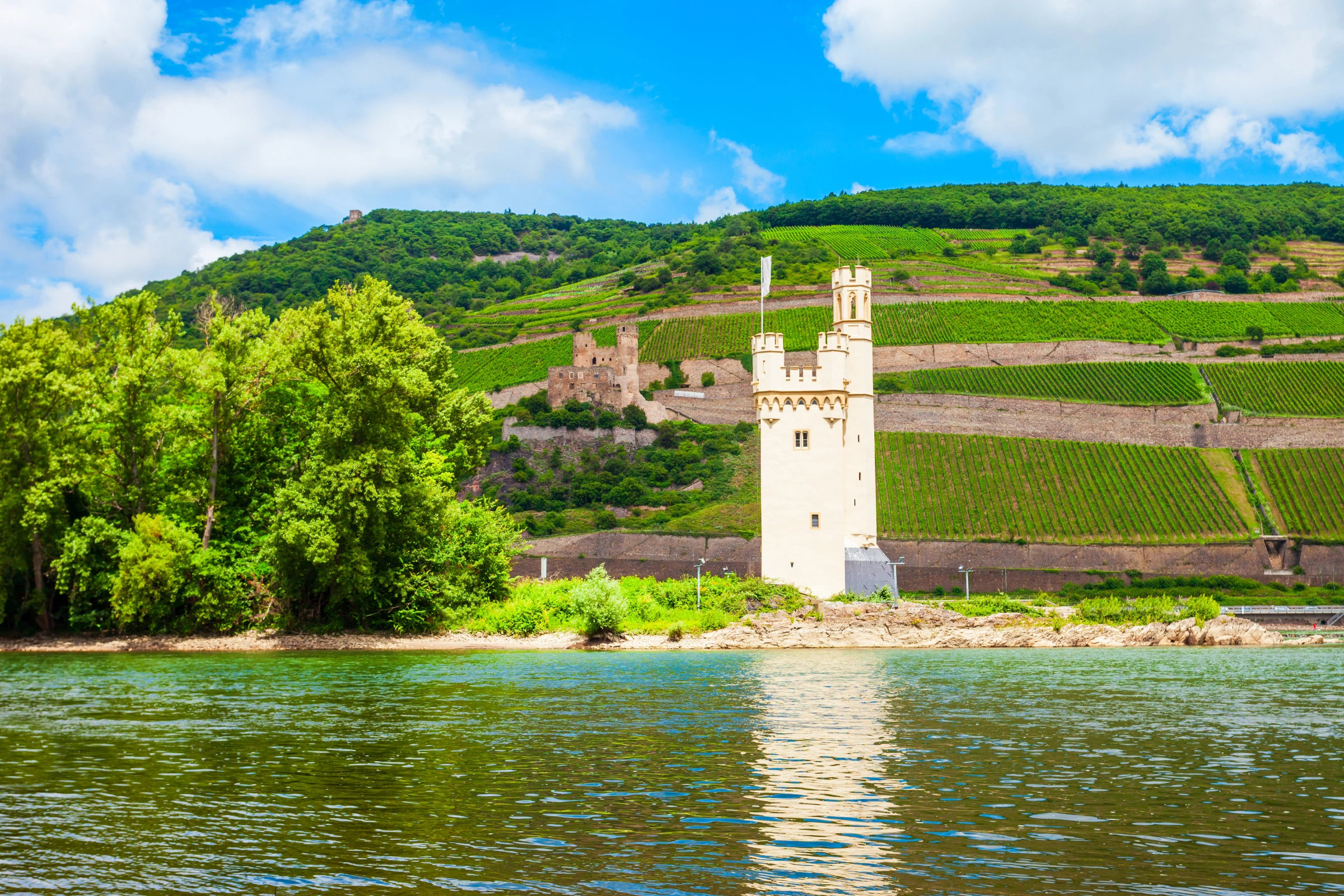 Bingen_am_Rhein[1].webp